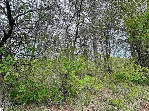 Packingham, Manton, MI 49663 photo 4