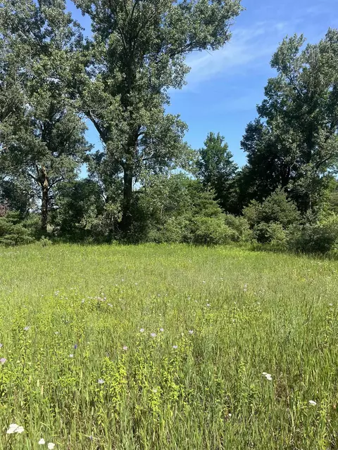 Packingham, Manton, MI 49663 photo 20
