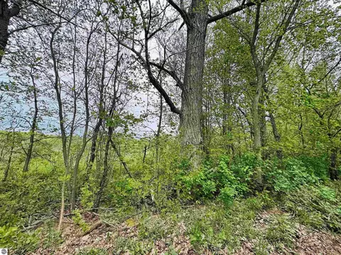 Packingham, Manton, MI 49663 photo 7