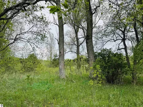 Packingham, Manton, MI 49663 photo 13