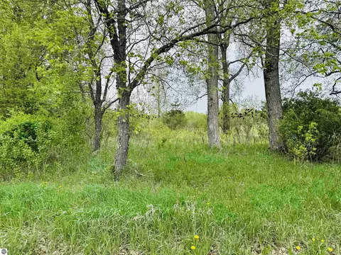 Packingham, Manton, MI 49663 photo 5