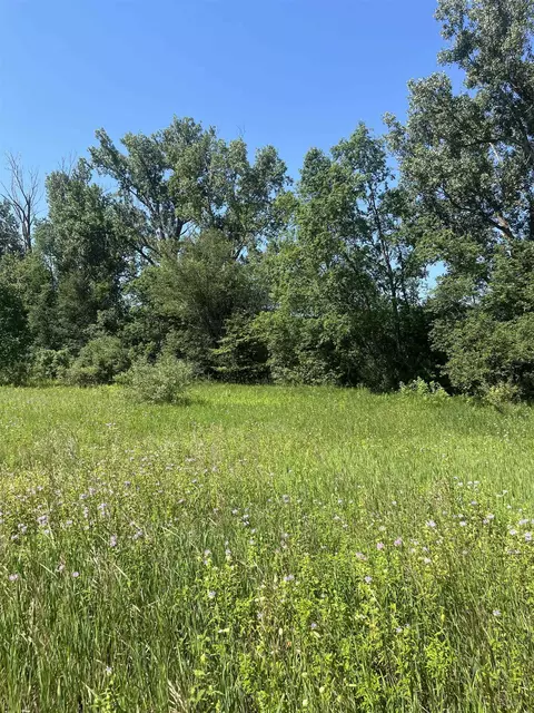 Packingham, Manton, MI 49663 photo 17