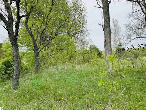 Packingham, Manton, MI 49663 photo 9
