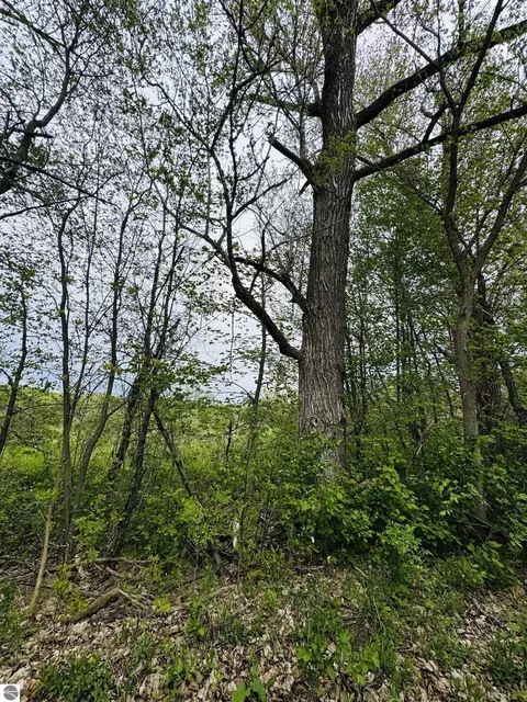 Packingham, Manton, MI 49663 photo 12