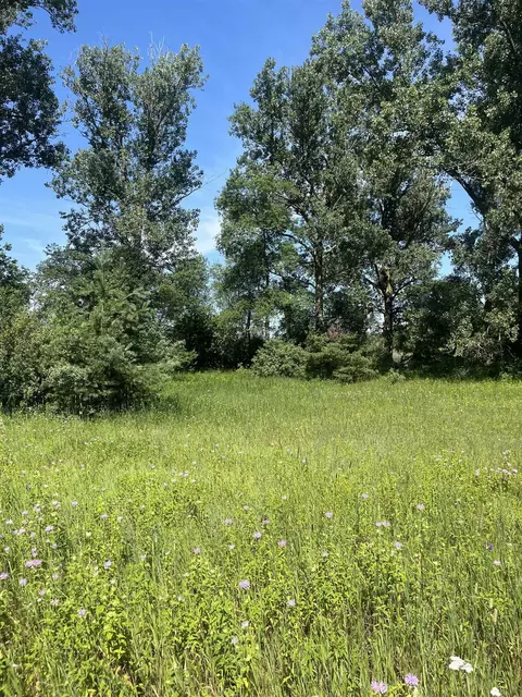 Packingham, Manton, MI 49663 photo 19