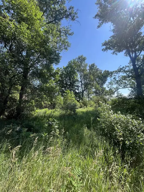 Packingham, Manton, MI 49663 photo 25