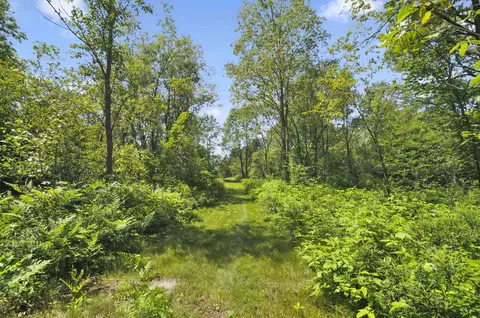 6838 Williams, Grayling, MI 49738 photo 61