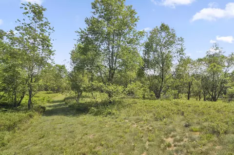 6838 Williams, Grayling, MI 49738 photo 59