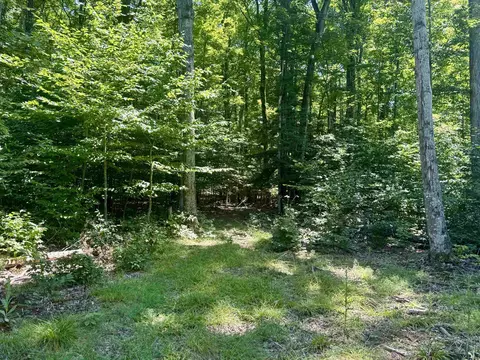 1364 E Maplewing, Cedar, MI 49621 photo 8