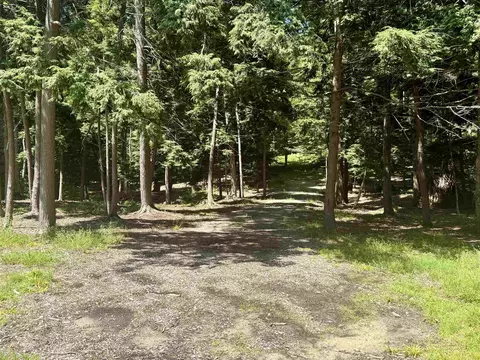 1364 E Maplewing, Cedar, MI 49621 photo 5