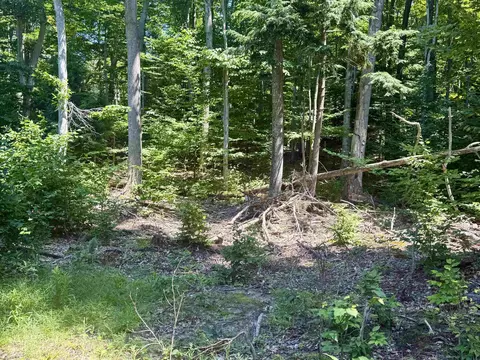 1364 E Maplewing, Cedar, MI 49621 photo 10