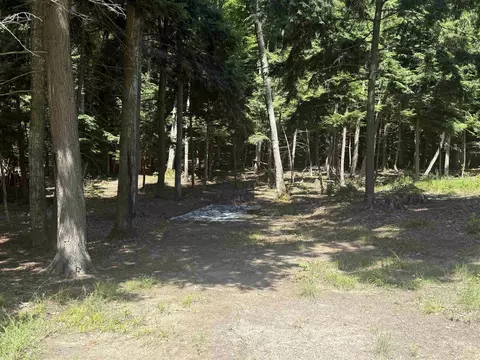 1364 E Maplewing, Cedar, MI 49621 photo 19