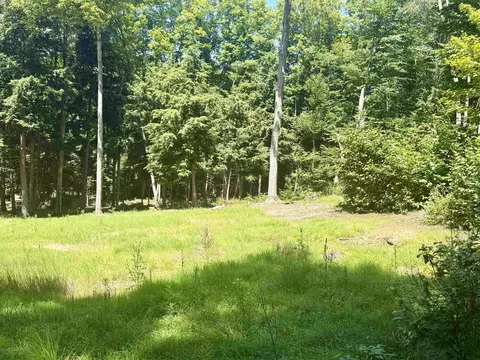 1364 E Maplewing, Cedar, MI 49621 photo 2