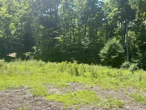 1364 E Maplewing, Cedar, MI 49621 photo 11