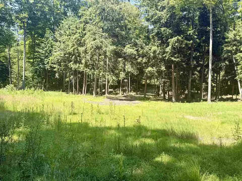 1364 E Maplewing, Cedar, MI 49621 photo 6