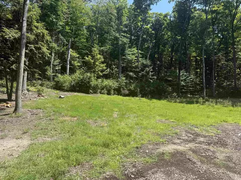 1364 E Maplewing, Cedar, MI 49621 photo 20