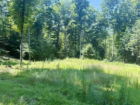 1364 E Maplewing, Cedar, MI 49621 photo 7