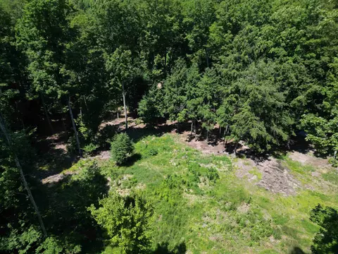 1364 E Maplewing, Cedar, MI 49621 photo 12