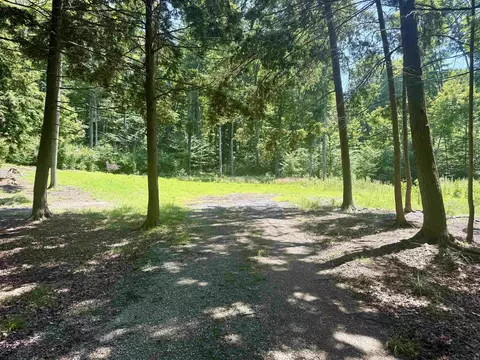 1364 E Maplewing, Cedar, MI 49621