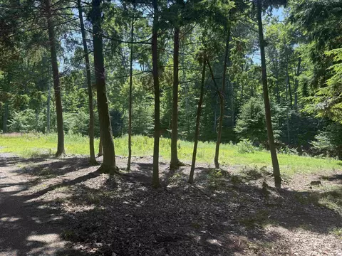1364 E Maplewing, Cedar, MI 49621 photo 22