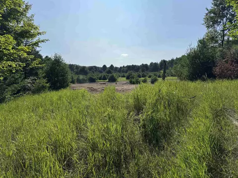 lot E Apt 6 E Bellinger Apt 6 Bellinger Ests # 6 BELLINGER ESTATES (FINAL ROAD, Cedar, MI 49621 photo 11