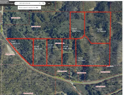 lot E Apt 6 E Bellinger Apt 6 Bellinger Ests # 6 BELLINGER ESTATES (FINAL ROAD, Cedar, MI 49621 photo 2