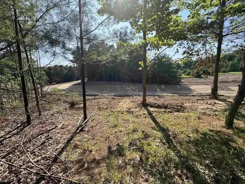 lot E Apt 6 E Bellinger Apt 6 Bellinger Ests # 6 BELLINGER ESTATES (FINAL ROAD, Cedar, MI 49621 photo 15