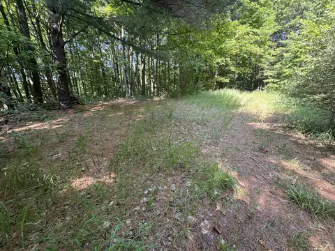 lot E Apt 6 E Bellinger Apt 6 Bellinger Ests # 6 BELLINGER ESTATES (FINAL ROAD, Cedar, MI 49621 photo 20