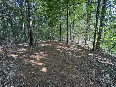 lot E Apt 6 E Bellinger Apt 6 Bellinger Ests # 6 BELLINGER ESTATES (FINAL ROAD, Cedar, MI 49621 photo 22