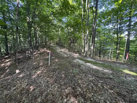 lot E Apt 6 E Bellinger Apt 6 Bellinger Ests # 6 BELLINGER ESTATES (FINAL ROAD, Cedar, MI 49621 photo 19