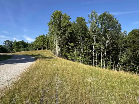 lot E Apt 6 E Bellinger Apt 6 Bellinger Ests # 6 BELLINGER ESTATES (FINAL ROAD, Cedar, MI 49621 photo 9