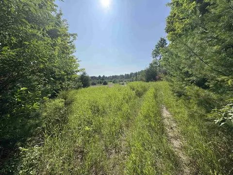 lot E Apt 6 E Bellinger Apt 6 Bellinger Ests # 6 BELLINGER ESTATES (FINAL ROAD, Cedar, MI 49621 photo 12