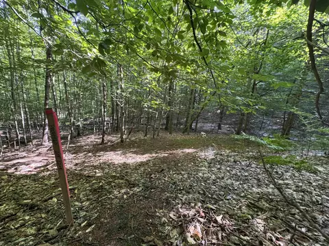 lot E Apt 6 E Bellinger Apt 6 Bellinger Ests # 6 BELLINGER ESTATES (FINAL ROAD, Cedar, MI 49621 photo 30