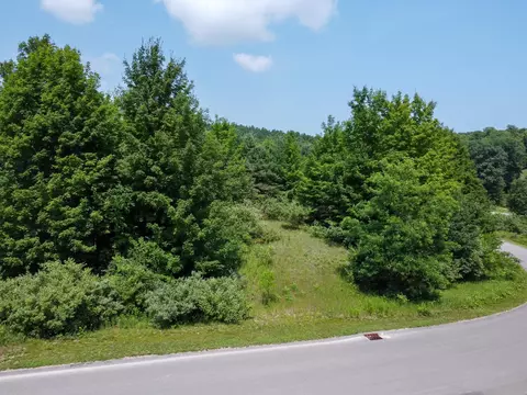 lot61 S Skye Hl #LOT : 61, Traverse City, MI 49684