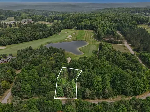 lot308 Goshawk #LOT : 308, Bellaire, MI 49615
