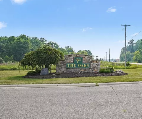 tbd Buckthorn, Mount Pleasant, MI 48858