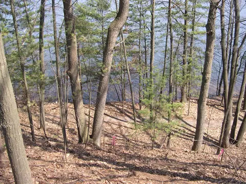 1597 Edgewater #LOT : 8, Traverse City, MI 49684