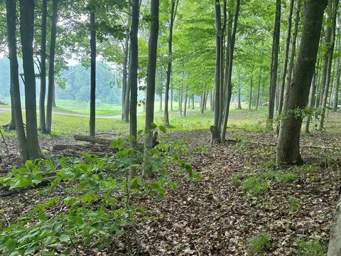 V/l 8 Forest, Bellaire, MI 49615