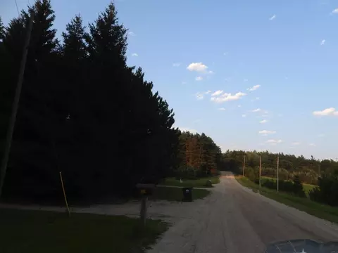 Exterior - 7439 E 22 12, Manton, MI 49663 photo 5 of 5