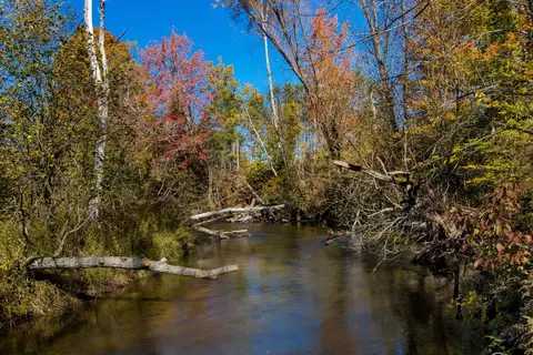 Parcels A Wild River, Thompsonville, MI 49683