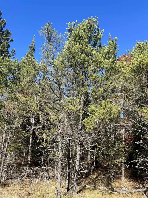 0000 E North Down Riv #LOT 364, Grayling, MI 49738 photo 4