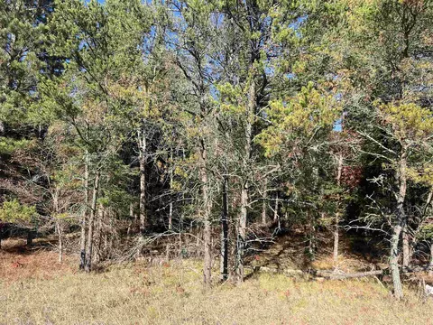 0000 E North Down Riv #LOT 364, Grayling, MI 49738 photo 5