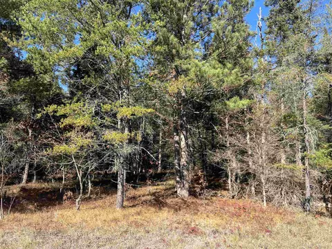 0000 E North Down Riv #LOT 364, Grayling, MI 49738 photo 3