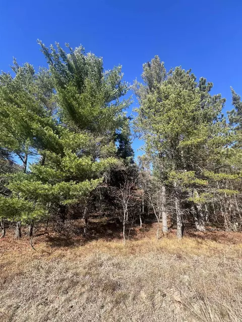 0000 E North Down Riv #LOT 364, Grayling, MI 49738 photo 2