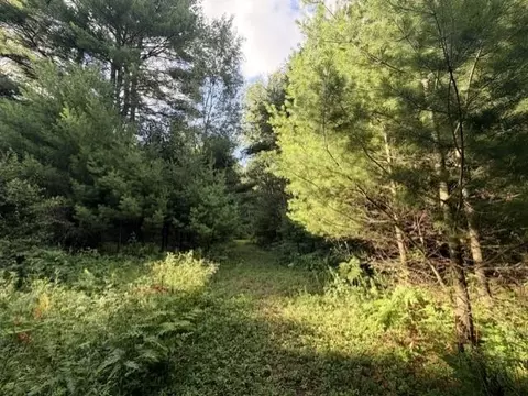 00 Timreck #LOT : "B", Tawas City, MI 48763