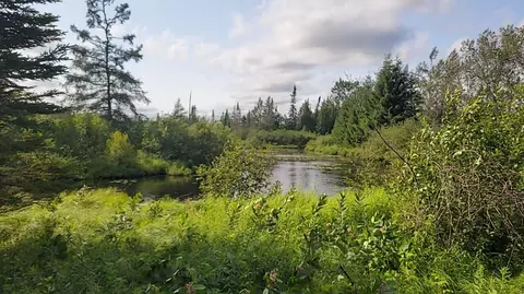 12 55 Acres Juniper, Grayling, MI 49738 photo 4