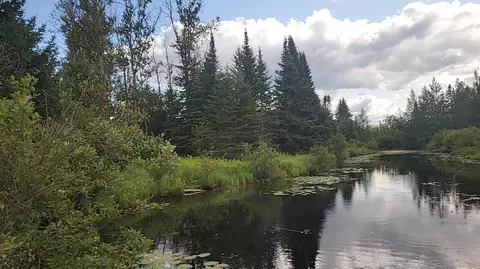 12 55 Acres Juniper, Grayling, MI 49738