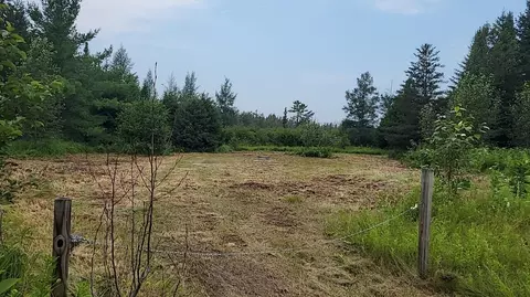 12 55 Acres Juniper, Grayling, MI 49738 photo 8