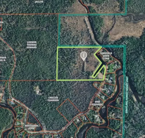 12 55 Acres Juniper, Grayling, MI 49738 photo 9