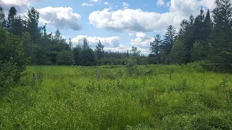 12 55 Acres Juniper, Grayling, MI 49738 photo 7